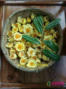 金花茶