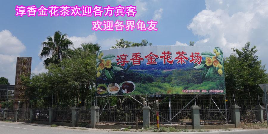 标题广告